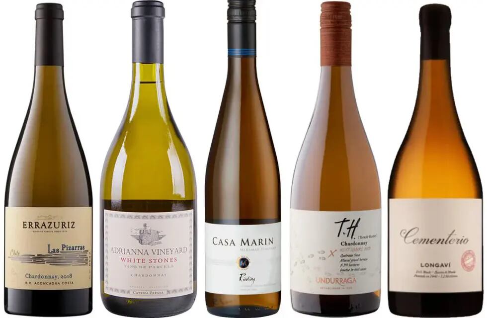 Decanter eligió a 11 vinos argentinos entre los mejores de Sudamérica. - Gentileza / Decanter
