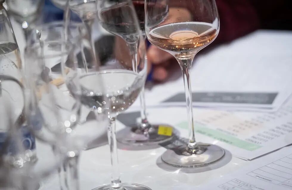 Elegir una buena copa puede ayudar a maximizar la experiencia del vino. - Foto: Ignacio Blanco / Los Andes