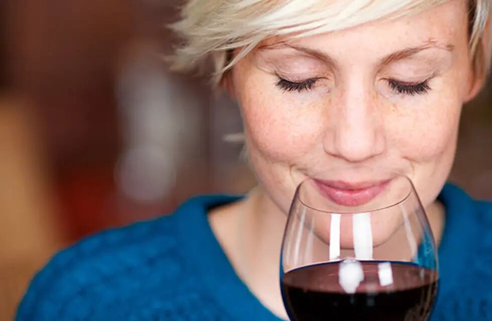 Algunos vinos recuerdan a hierbas en aroma y sabor. Las pirazinas son las responsables.
