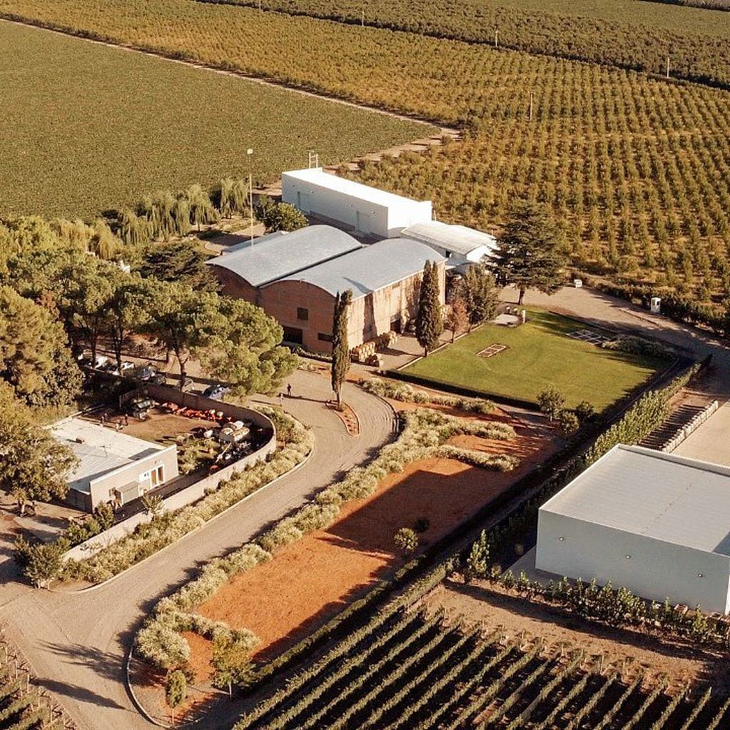 La bodega Vinos de la Luz en le Valle de Uco. -Gentileza