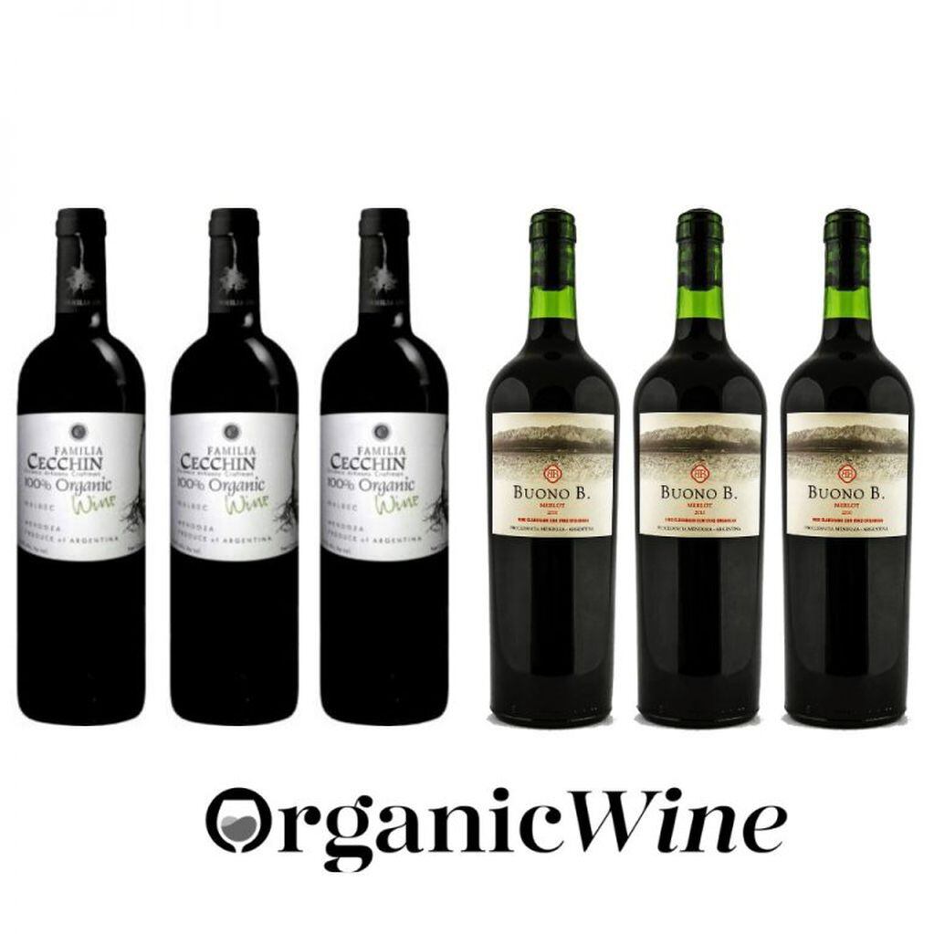 Se vendieron 5.000% más vinos orgánicos en dos años. Por ejemplo, en Tienda Los Andes encontrás una gran opción, los vinos orgánicos de Buono- Cecchin.