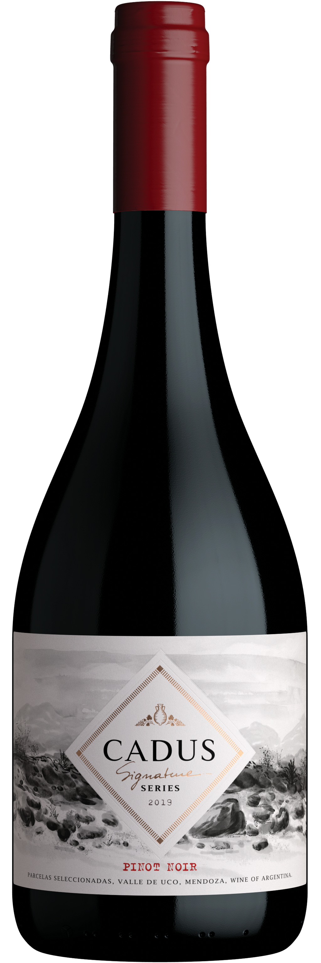 Este fue el Pinot Noir elegido por Bodegas Molinos Río de la Plata. - Gentileza