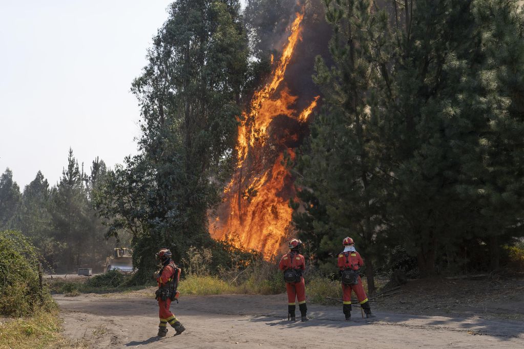  Efectivos de la Unidad Militar de Emergencias (UME) del Ejército español combaten hoy incendios en la comuna de Cabrero, región del Bío Bío (Chile). 