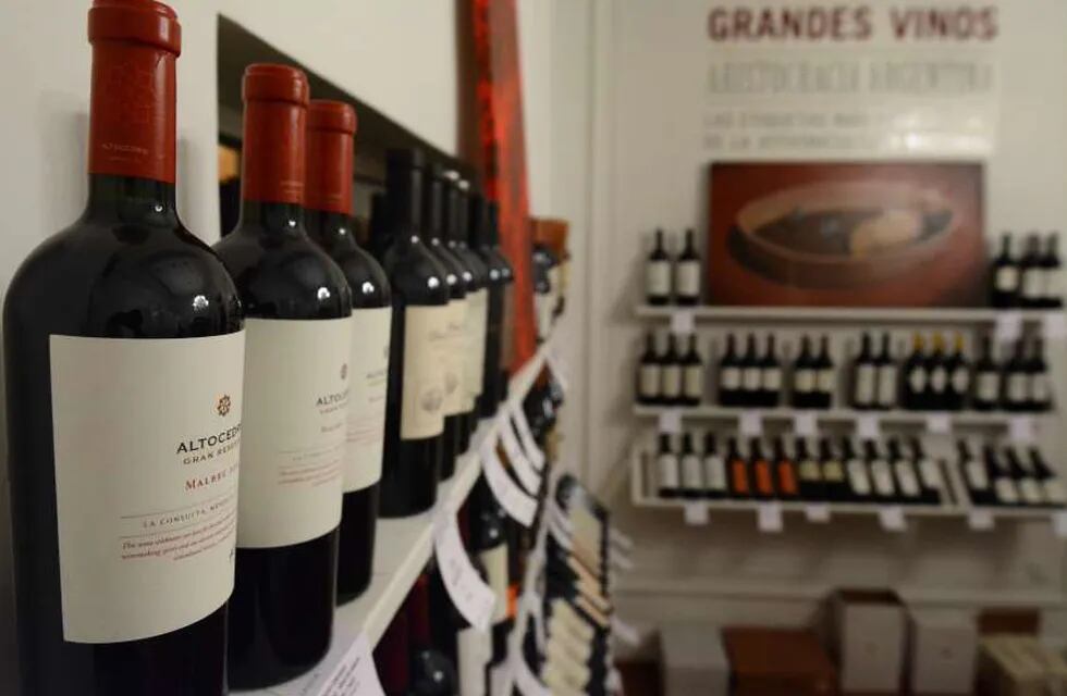 Las ventas de vinos varietales con presencia de la variedad Malbec representaron el 55% de ese total. / Archivo.