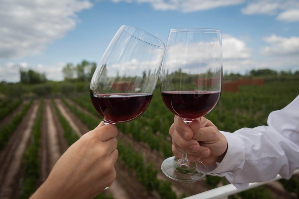 Beber una copa de vino con las comidas puede tener un efecto beneficioso para la salud. - Ignacio Blanco / Los Andes