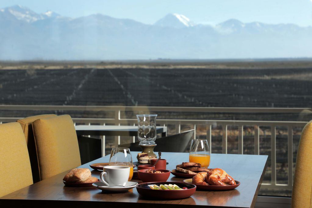 Gaia Lodge ofrece imponentes vistas de los viñedos y la Cordillera de los Andes. - Gentileza