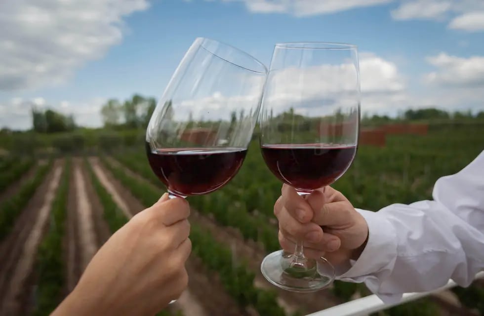 Beber una copa de vino con las comidas puede tener un efecto beneficioso para la salud. - Ignacio Blanco / Los Andes