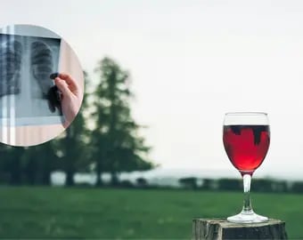 El compuesto del vino que beneficia a nuestros pulmones