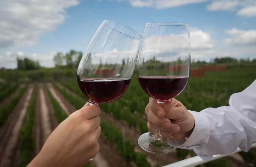 El tipo de copa va a depender de la elección del vino y el momento en que se lo tome - Foto: Ignacio Blanco / Los Andes