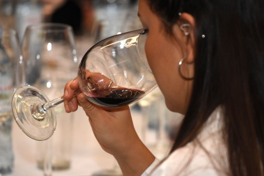 El consumo moderado de vino puede tener importantes beneficios para la salud. - Los Andes