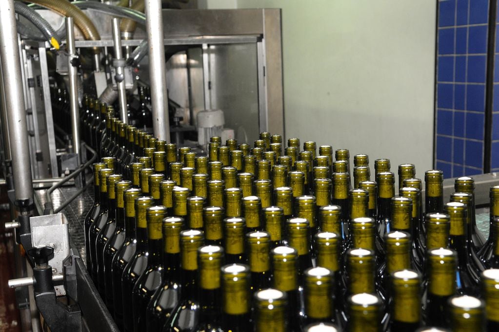 El vino a granel mejoró sus precios promedios en 2021. - Archivo / Los Andes