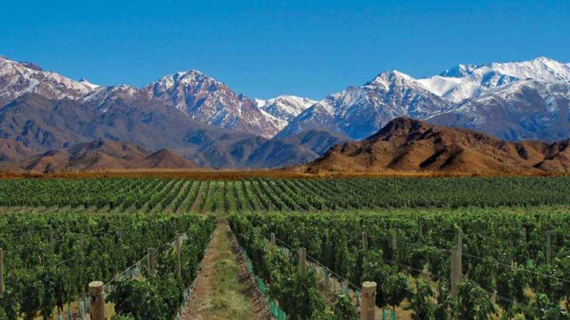 El turismo interno volvió al Valle de Uco y los comerciantes “readaptan precios”
