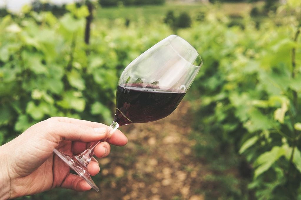 El vino francés exportado en 2022  alcanzó su máximo histórico, con 12.283 millones de euros.
