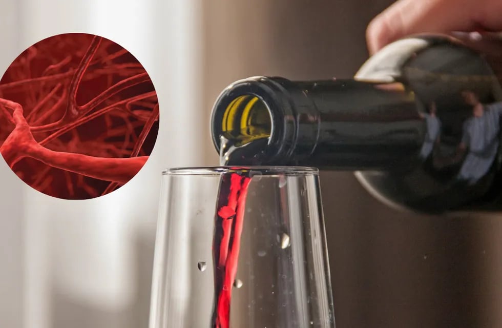 El consumo moderado de vino tinto aportaría beneficios a la sangre y ayudaría a evitar algunas enfermedades.