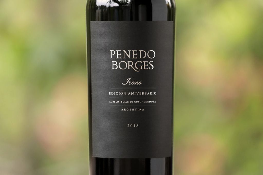 Todos los vinos de Penedo Borges salen de su viñedo de Alto Agrelo. - Gentileza
