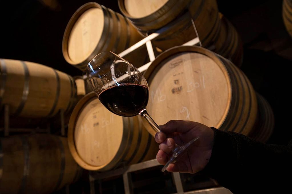 La madera es uno de los elementos donde puede madurar un vino de guarda. - Ignacio Blanco / Los andes
