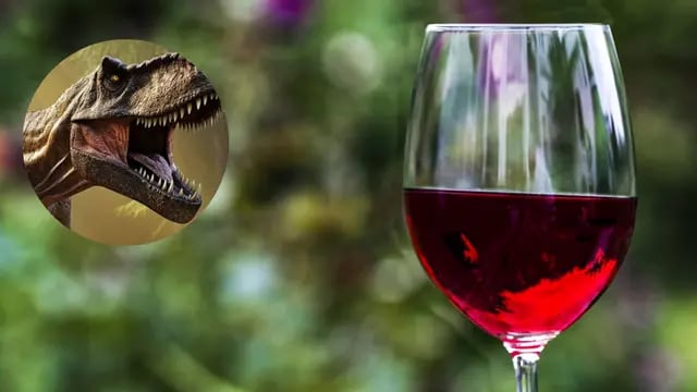 vinos y dinosaurios