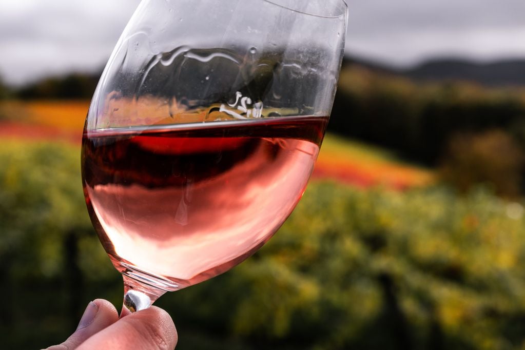 El vino rosado puede tener aromas a  fruta fresca, flores o hierbas.