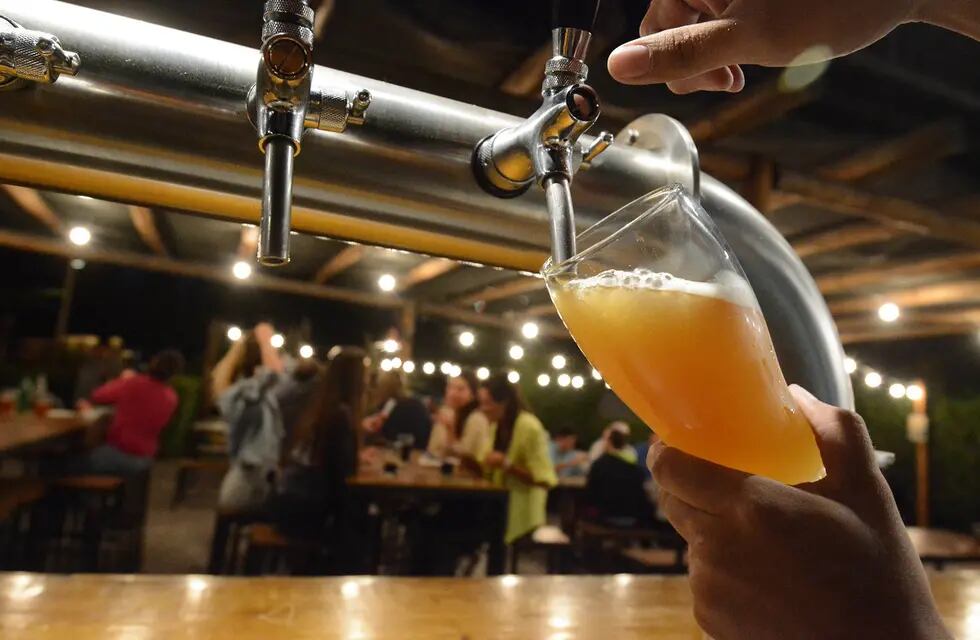 La cerveza mendocina más premiada volvió a recibir un nuevo reconocimiento. - Archivo / Los Andes