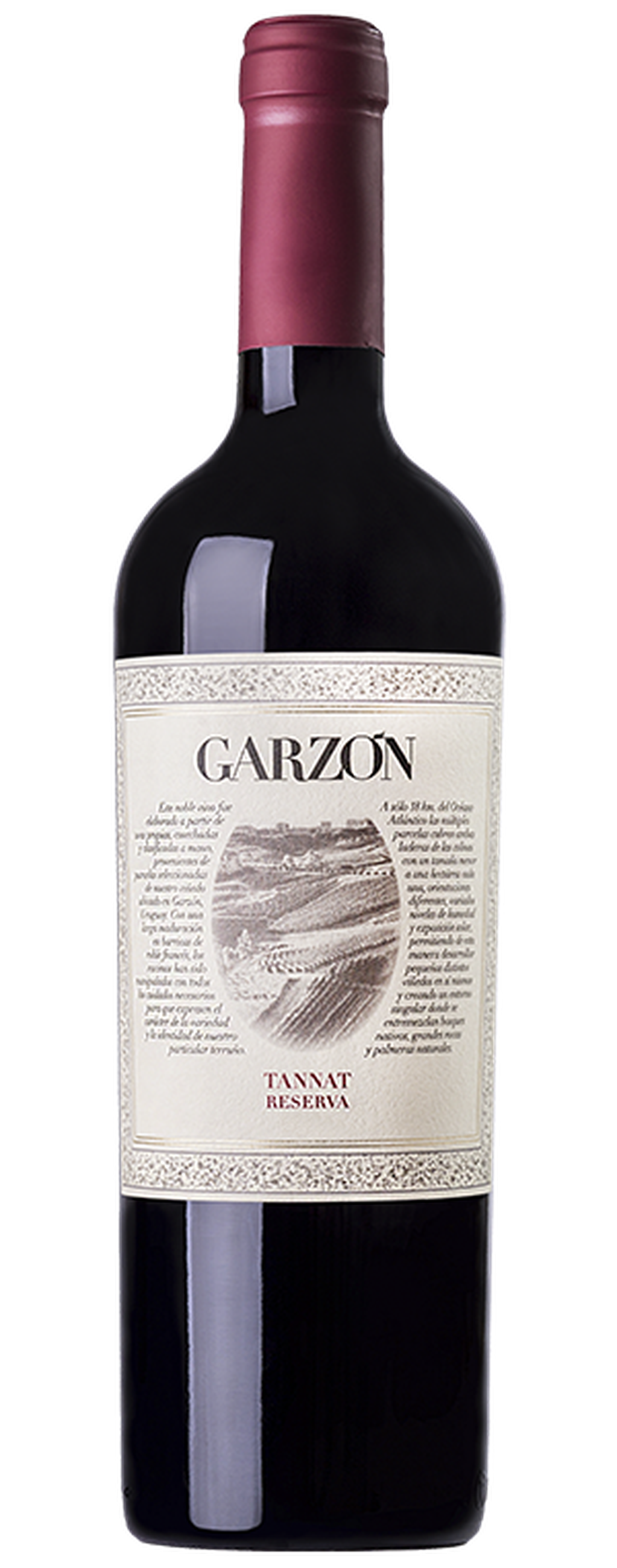 Garzón Reserva Tannat. -Gentileza