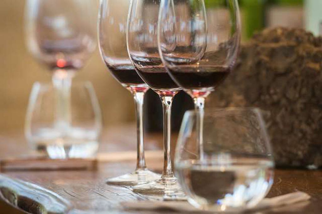 
    El vino logró crecer en despachos y se encamina a cerrar un 2019 con crecimiento en comparación con 2018. / Foto: Ignacio Blanco
   