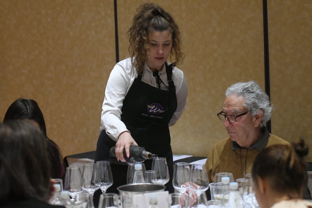 En total serán más de 250 vinos los que prueben y evalúen los jurados. - Ignacio Blanco / Los Andes