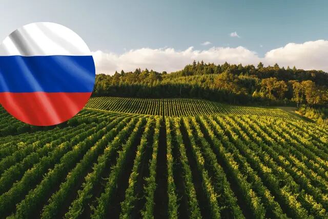 Viticultores rusos