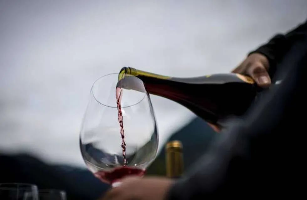 El mercado del vino moverá una importante suma de dinero durante el 2024 según las proyecciones.