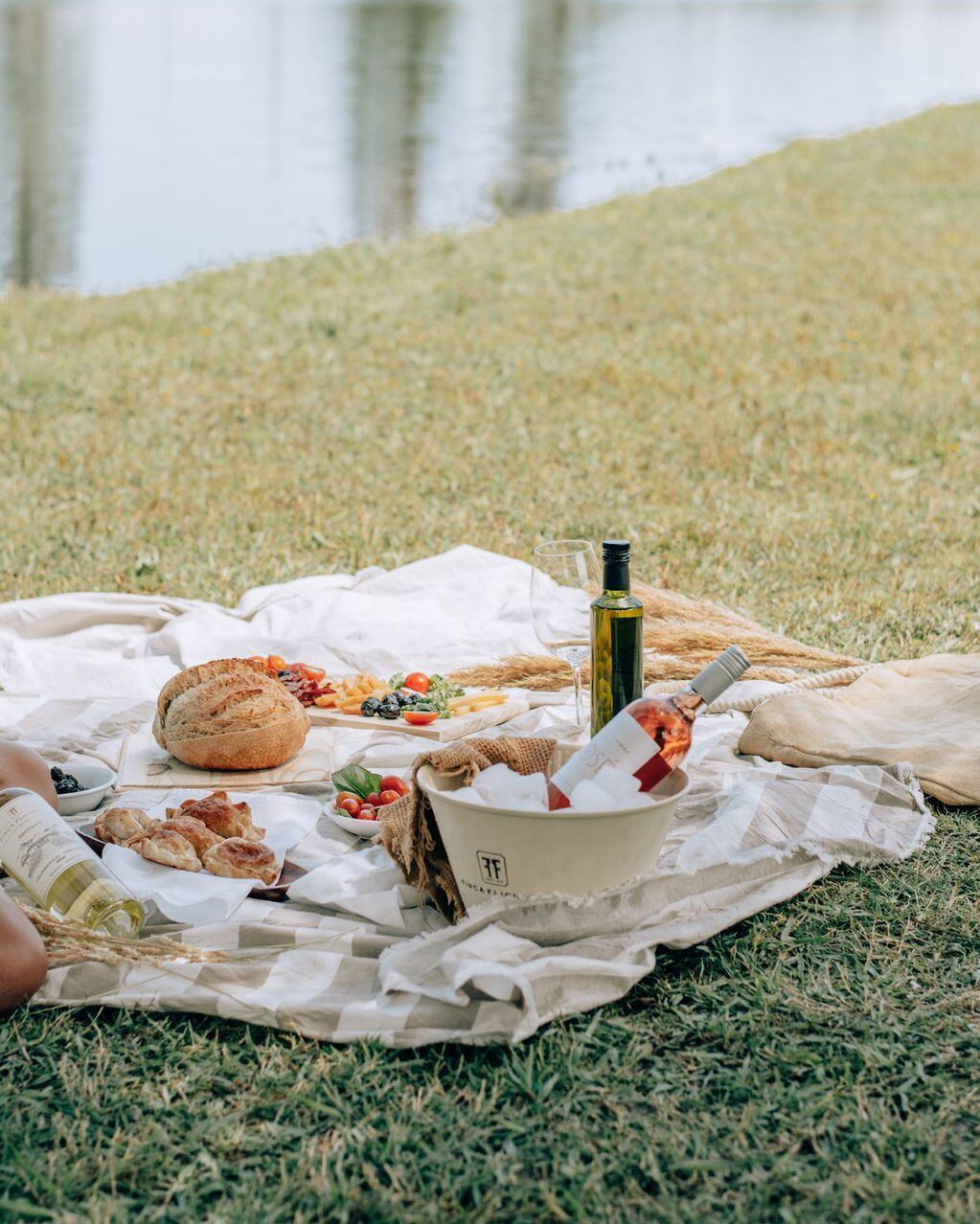 Picnic Finca Flichman.