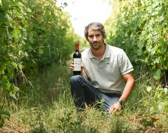 Daniel Guillén Bodega el viticultor