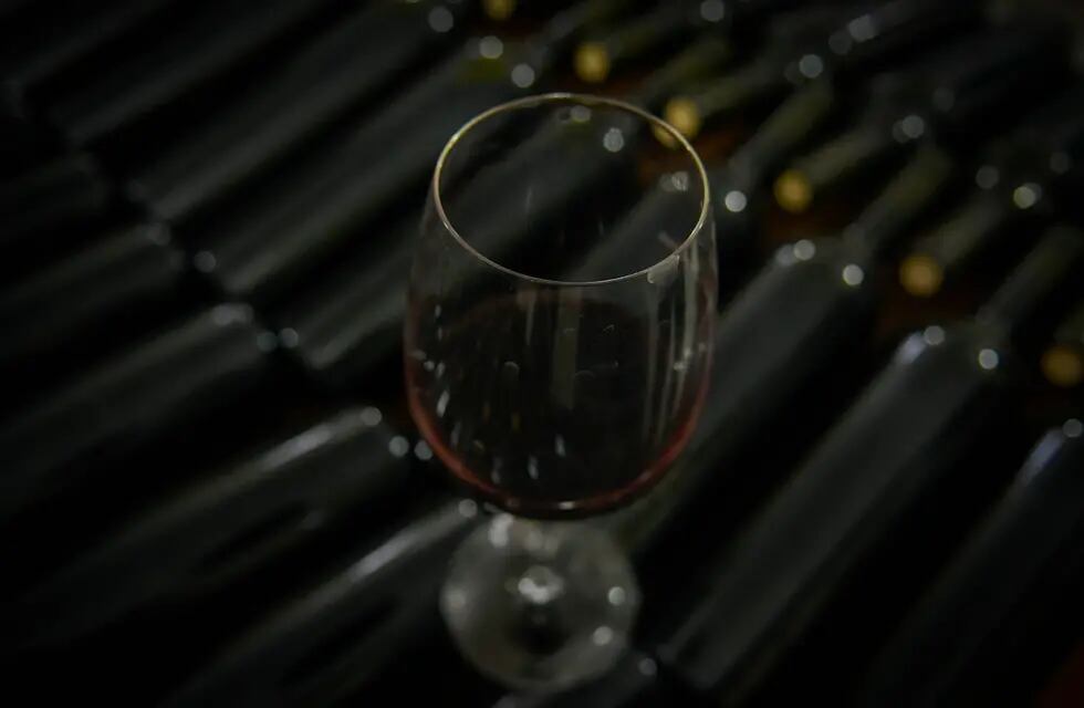 Cada vez son más las bodegas que lanzas sus propios NFT respaldados en vinos. - Foto: Orlando Pelichotti / Los Andes