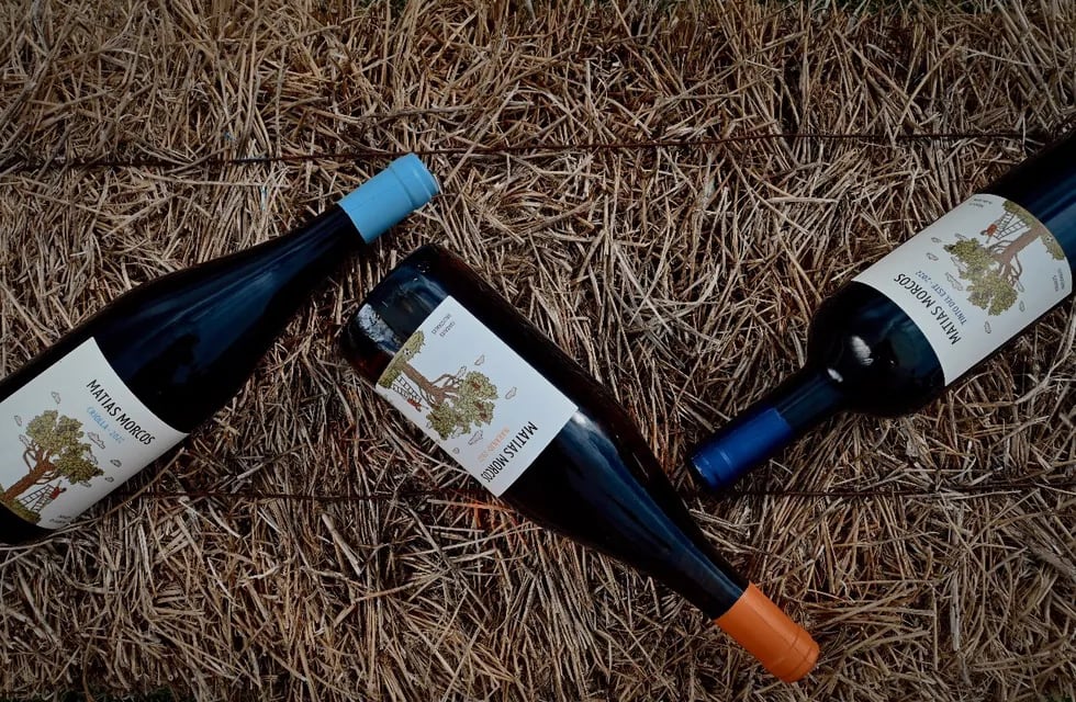 El vino hecho con Criolla del Este mendocino que fue elegidio entre los mejores de Decanter.