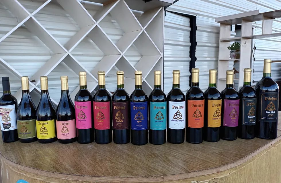 La familia de vinos de la bodega boutique Pócima está conformada por una amplia gama de varietales y blends.