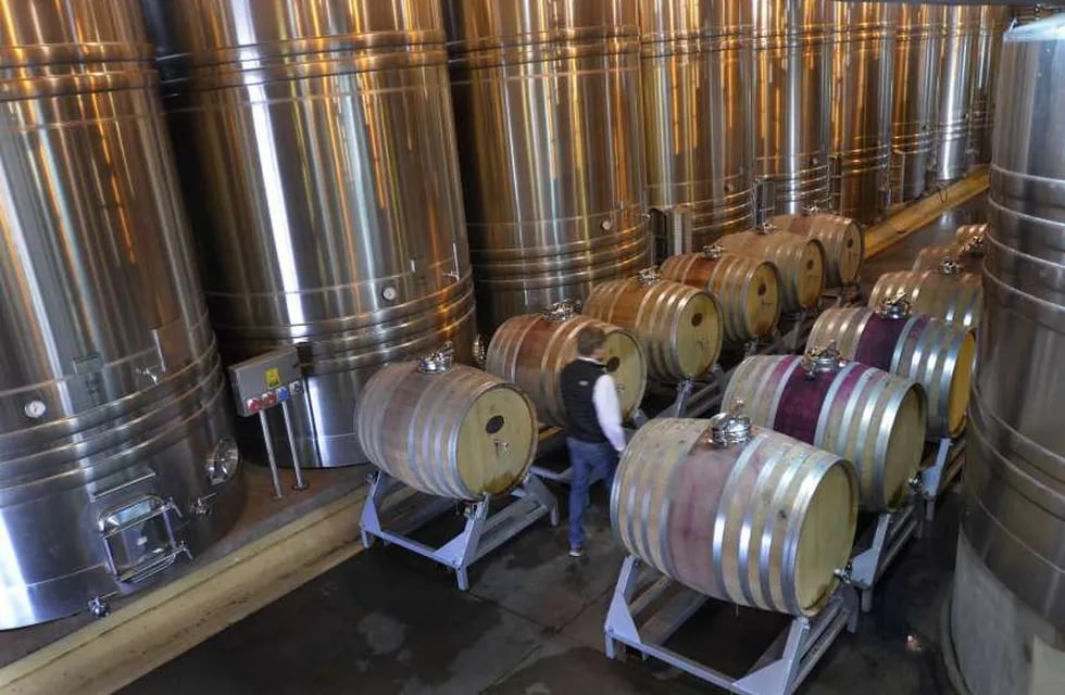 Los cambios son una constante en el mundo del vino, por lo que las bodegas deben mantenerse actualizadas. - Foto: Archivo / Los Andes