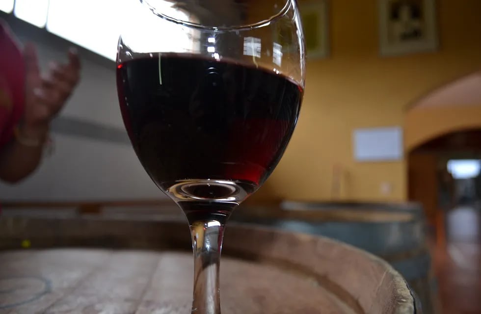 Italia se posiciona frente a España en exportación de vinos.