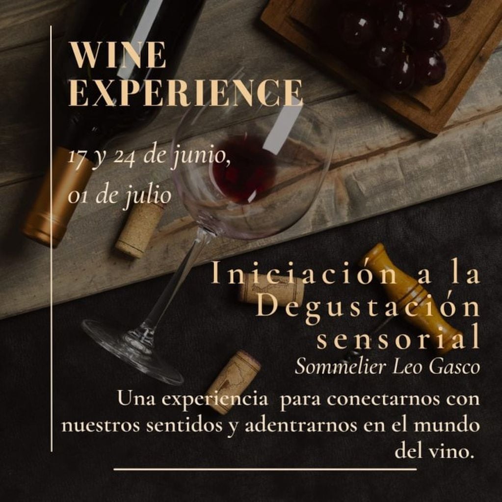 Wine Experience.