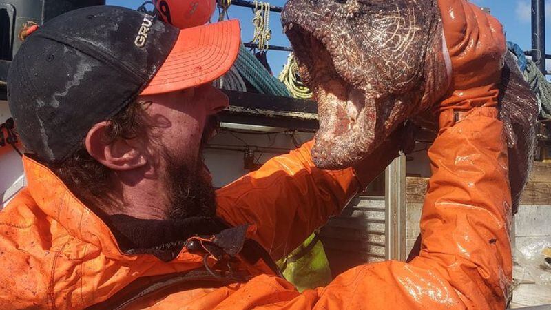 El horrendo “monstruo marino” que se hizo viral: tiene una mandíbula gigante y mide dos metros