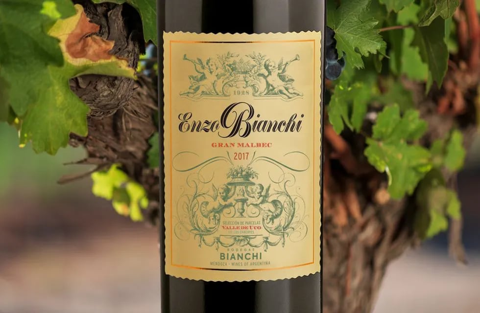 Enzo Bianchi Gran Malbec 2017, destacado por Decanter entre los mejores vinos del país 