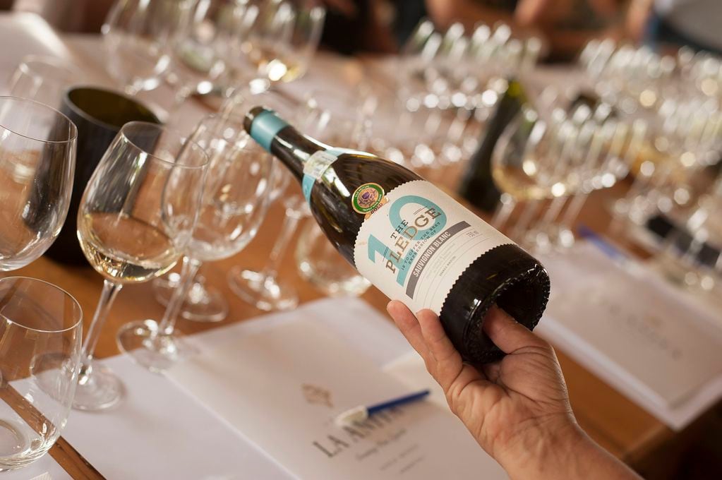 En la bodega también se puede conseguir un Sauvignon Blanc de la bodega Le Grand Domaine de Sudáfrica. - Gentileza