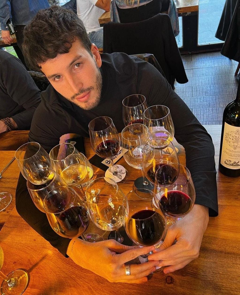 Sebastián Yatra probó más de una docena de vinos en Mendoza. - Instagram 