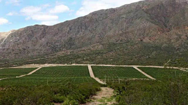 San Juan tiene una nueva Indicación Geográfica de vino argentino