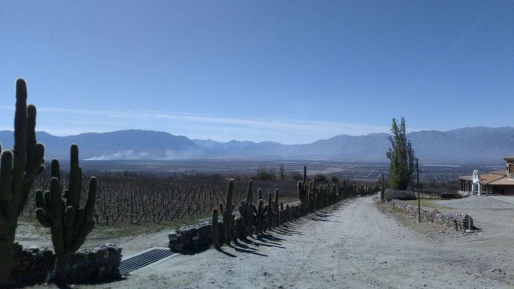 El encuentro se vivirá en la increíble región vitivinícola de Cafayate, en Salta (Vía Salta)