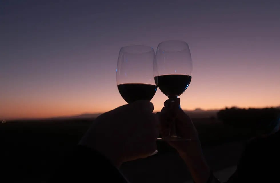 Las ideas ganadoras servirán para promocionar el vino argentino en el mundo. - Ignacio Blanco / Los Andes