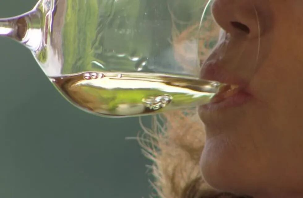 El vino blanco tiene una participación en las ventas entre el 15 y 20% del total. (imagen web)