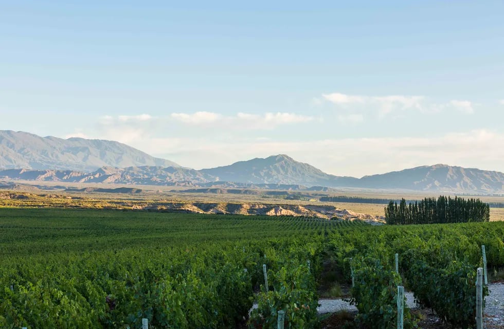 Los vinos de Pyros provienen del Valle del Pedernal, en San Juan.