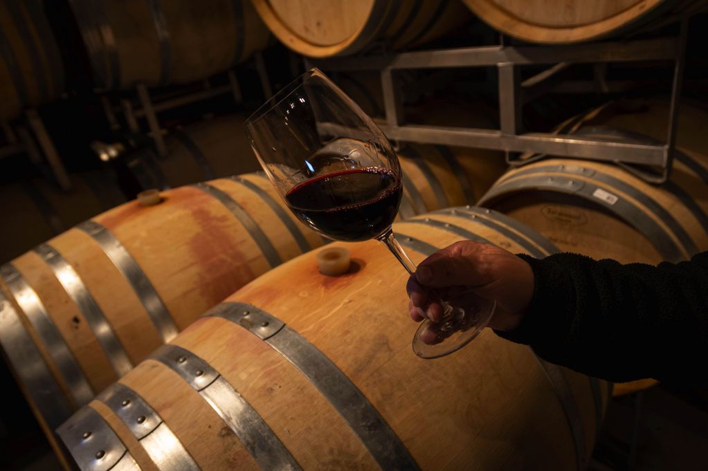 Los mejores vinos se pueden degustar en la propias bodegas de Mendoza. 