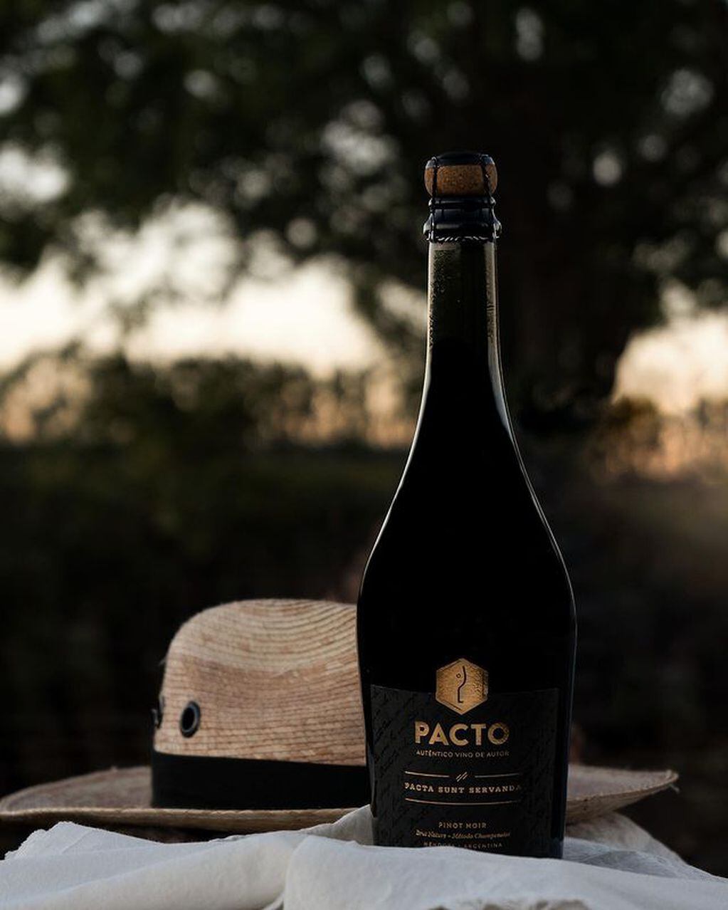 Pinot Noir Brut Nature, de Pacto Wines.