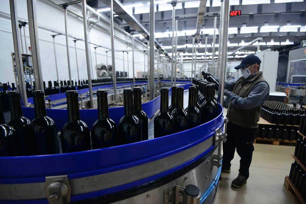 El banco de vinos podrá intervenir en los próximos días. - Claudio Gutiérrez / Los Andes
