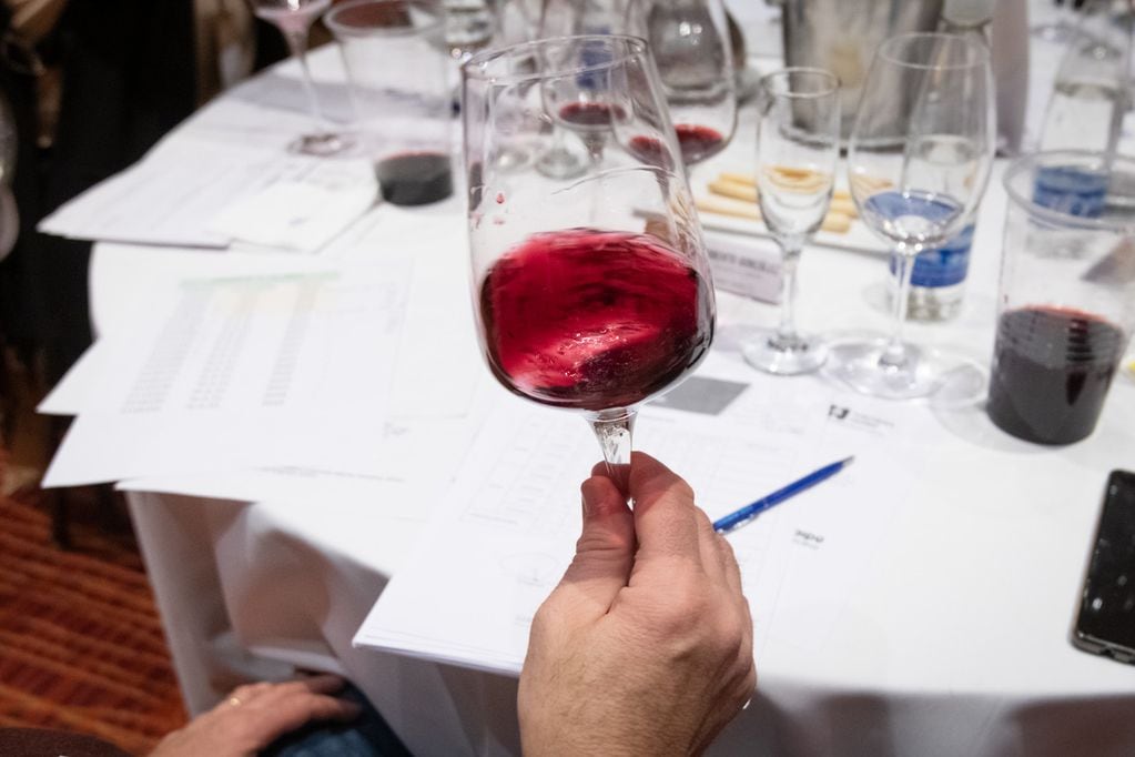El Cabernet Franc fue la segunda cepa más premiada en el Concurso Nacional de Vinos Guarda14. - Ignacio Blanco / Los Andes