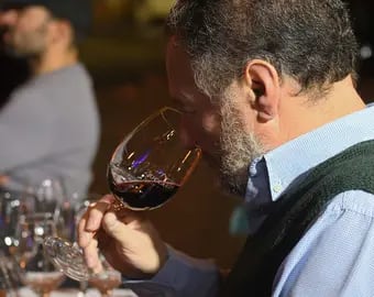 Degustación de vinos Guarda 14